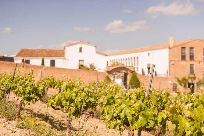 High-End Vineyard Escape: Cava, Tapas & Wine | Private Tour - Why the Private Format Matters