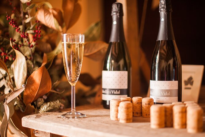 High-End Vineyard Escape: Cava, Tapas & Wine | Private Tour - Should You Book This Private Cava and Wine Tour?