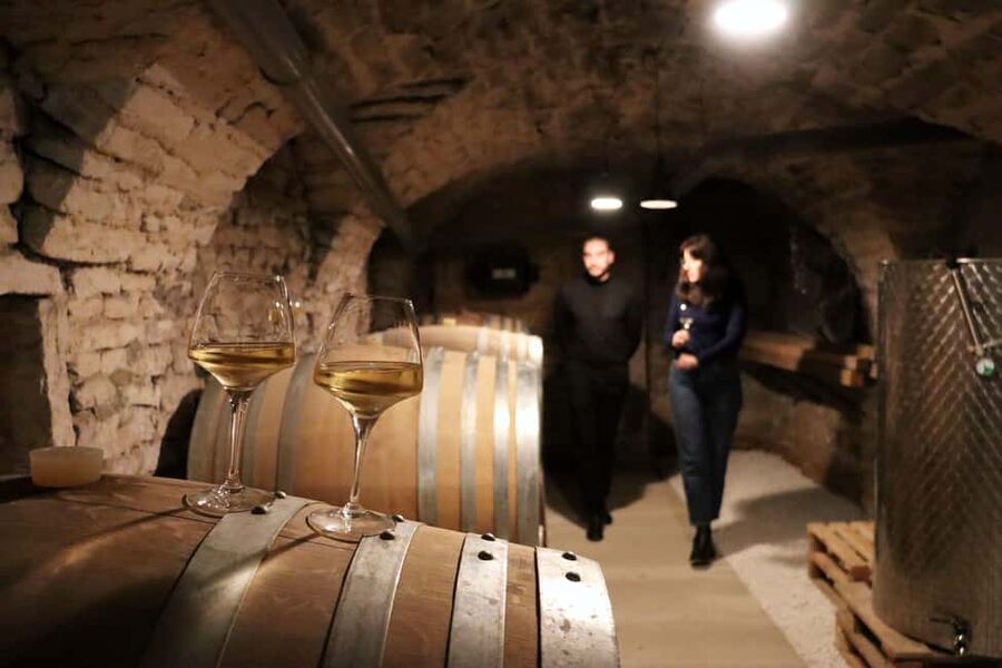 Historic Center of Dijon : Discovery Tasting Wine Burgundy - Finding Les Caves de La Fine Heure at 32 Rue Berbisey