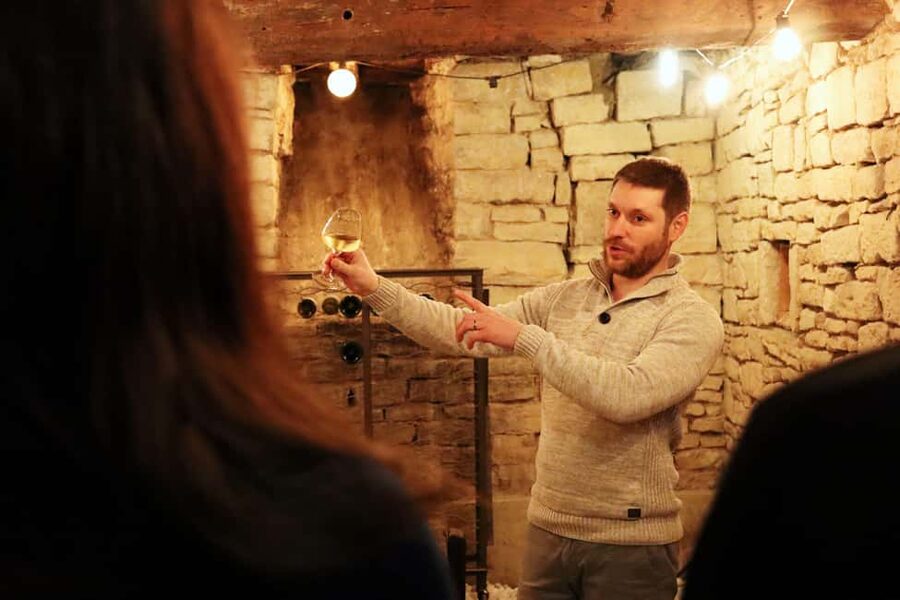 Historic Center of Dijon : Discovery Tasting Wine Burgundy - Learning a tasting method, not just drinking five samples