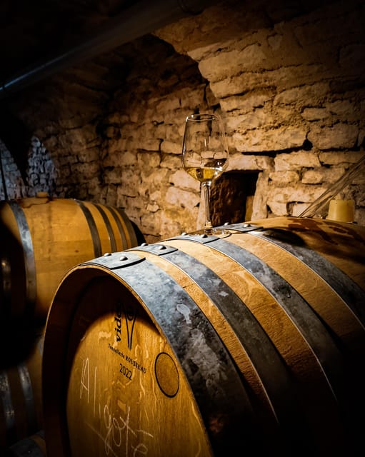 Historic Center of Dijon : Discovery Tasting Wine Burgundy - The language question deserves attention