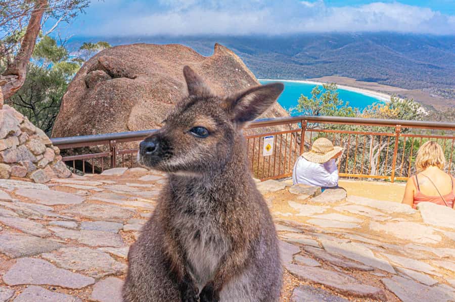 Hobart: Wineglass Bay, Freycinet Park, and Richmond Tour - Raspins Beach and the view toward Maria Island