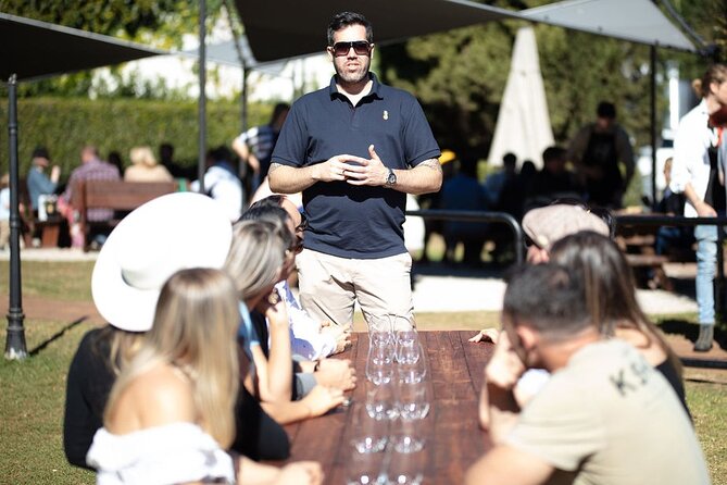 Hop on Hop off Wine tasting tour to Tamborine Mountain - Key points at a glance