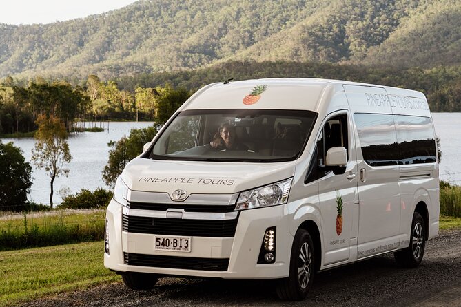 Hop on Hop off Wine tasting tour to Tamborine Mountain - Reaching Tamborine Mountain without the driving chores