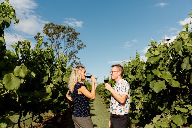 Hop on Hop off Wine tasting tour to Tamborine Mountain - Guides can make or break the day