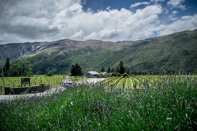 Hop on Hop off Wine Tours Queenstown - Queenstown’s opening stops mix thrills with casual drinks