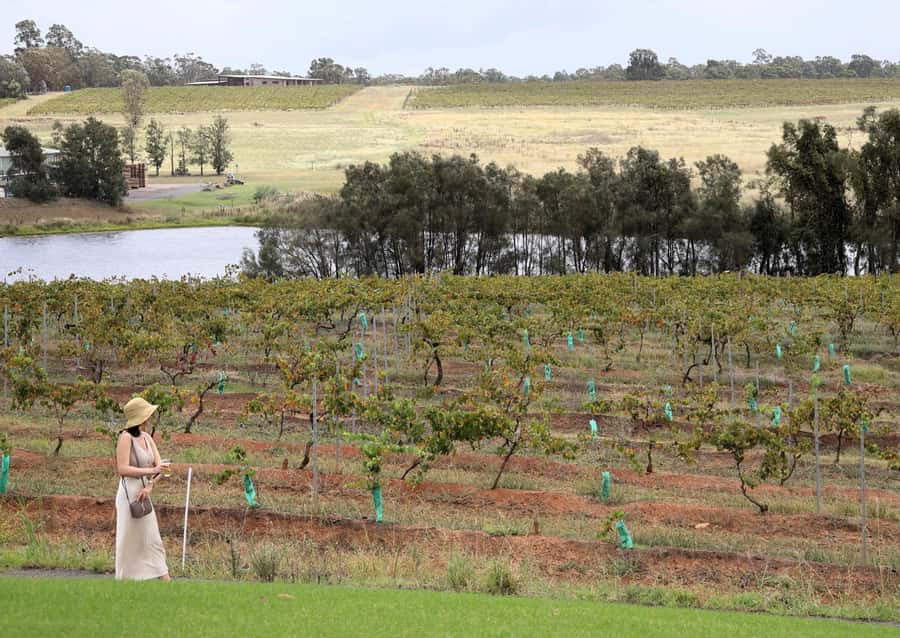 Hunter Valley: Wine, Chocolate and Lunch All Inclusive Tour - Peterson House and the chocolate finish