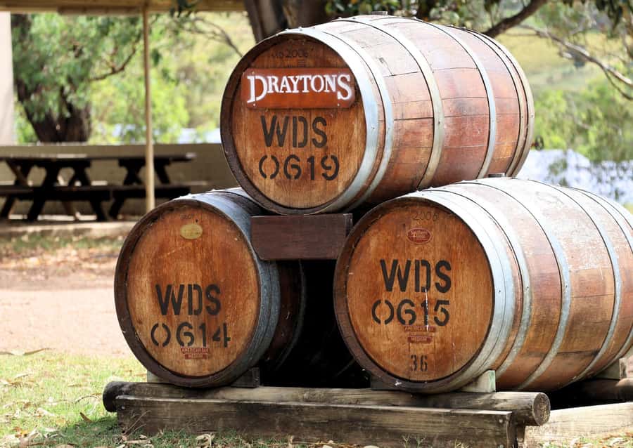 Hunter Valley: Wine, Chocolate and Lunch All Inclusive Tour - The guide and the pace of the day