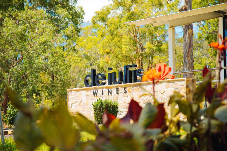 Hunter Valley: Wine, Spirits, and Cheese Tour with Lunch - Who will enjoy this day most?