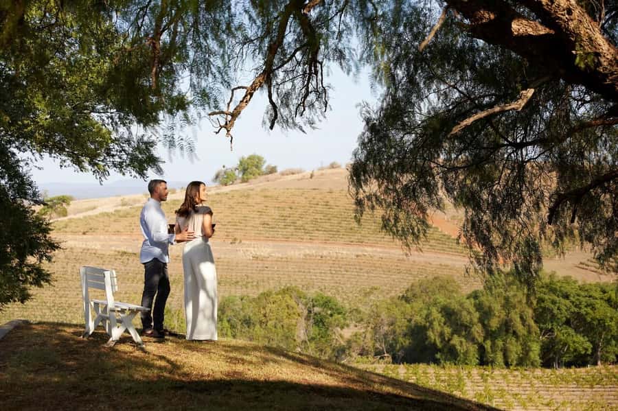 Hunter Valley: Wine Tour with 3 Tastings and Garden Lunch - My verdict on the Hunter Valley wine day