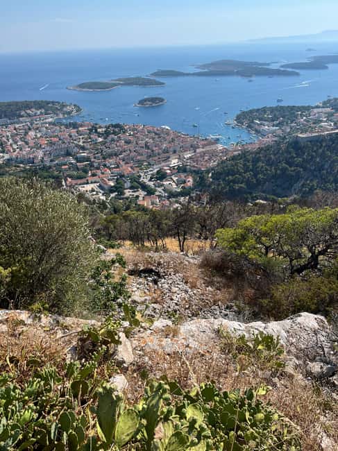 Hvar: Hvar Wine Tasting Experience - Lavender, olive trees, and Hvar’s farm country