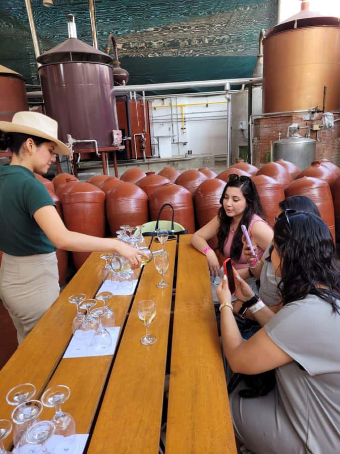 ICA: Pisco and Wine Route with tasting in 03 Wineries - Why Ica is the right place for a pisco and wine tour