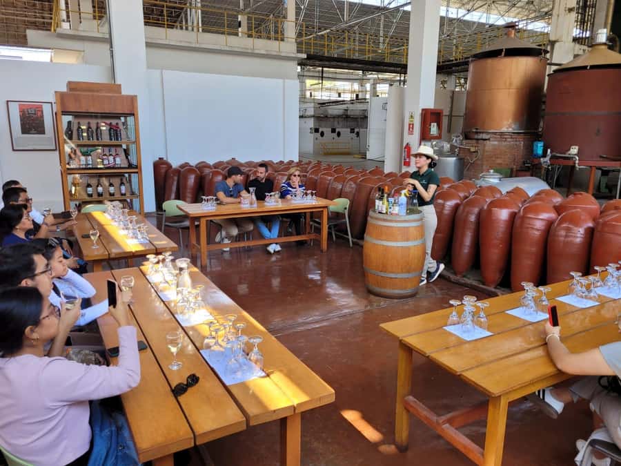 ICA: Pisco and Wine Route with tasting in 03 Wineries - Hacienda Tacama: the opening lesson in pisco