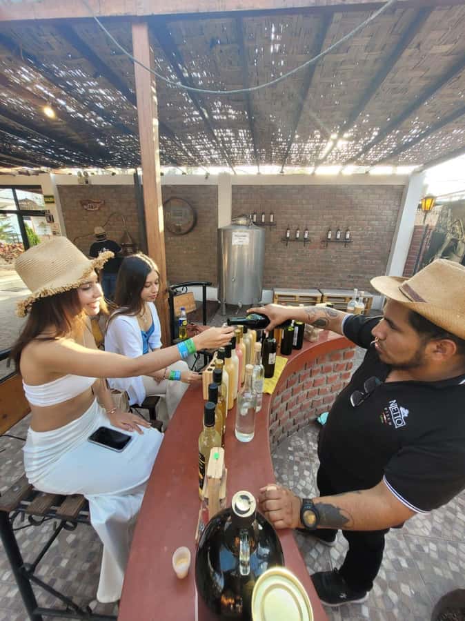 ICA: Pisco and Wine Route with tasting in 03 Wineries - The first tasting: learning to smell and compare