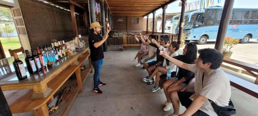 ICA: Pisco and Wine Route with tasting in 03 Wineries - Regional lunch and the real cost of the outing