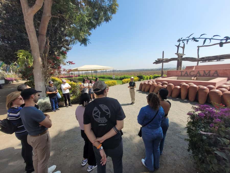 ICA: Pisco and Wine Route with tasting in 03 Wineries - How the timing works in practice