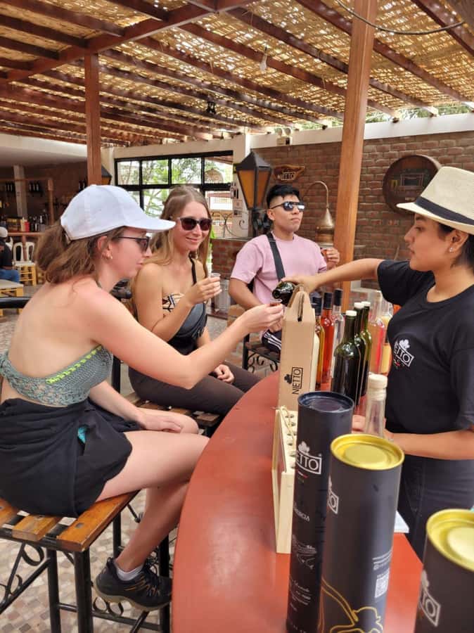 ICA: Pisco and Wine Route with tasting in 03 Wineries - Comfort, access, and who should book