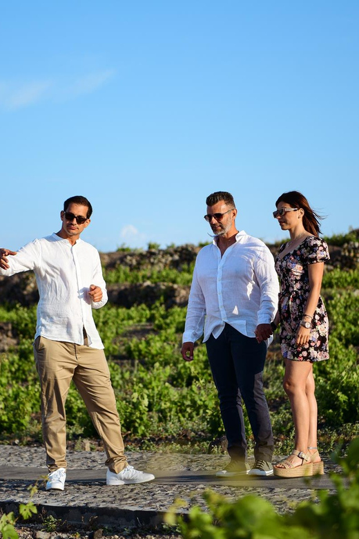 Imerovigli: Premium Wine Tasting with Caldera and Sea Views - The view is part of the price