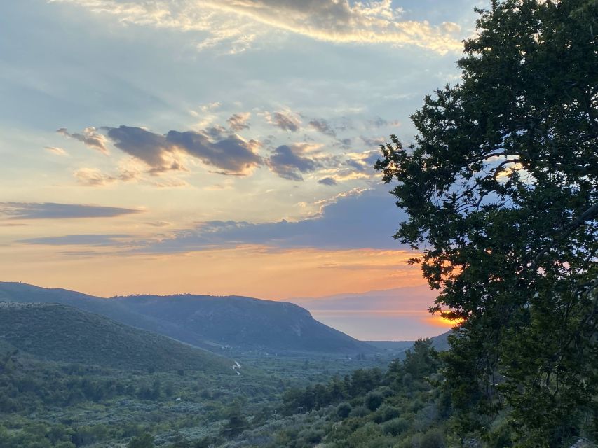 Jeep Safari in Thassos Mountain with picnic fruits & wine - What $81 gets you