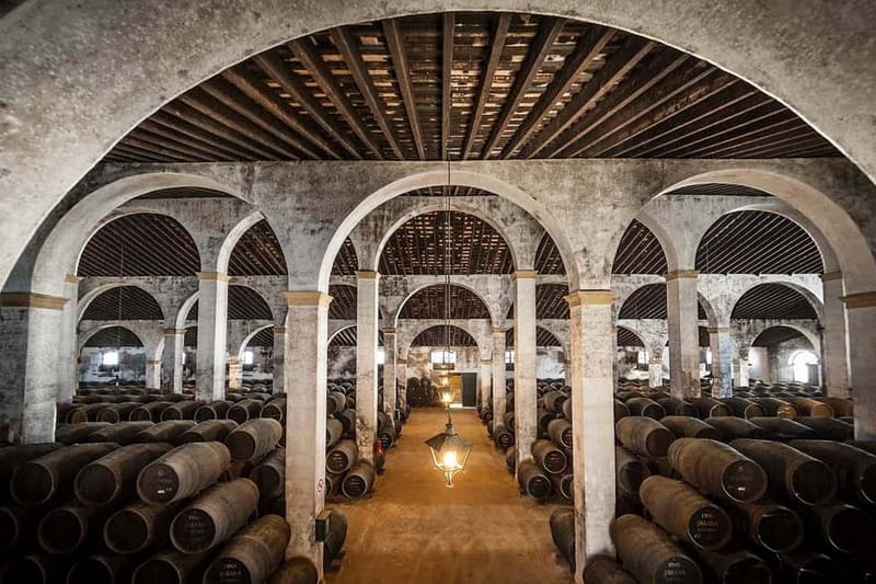 Jerez: 1.5-Hour Sherry Winery and Tasting Tour - Why González Byass matters in Jerez