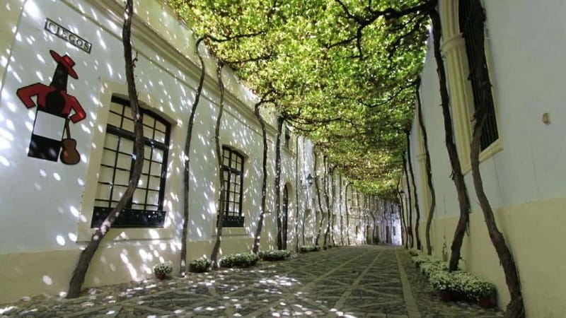 Jerez: 1.5-Hour Sherry Winery and Tasting Tour - Arriving at Manuel María González 12