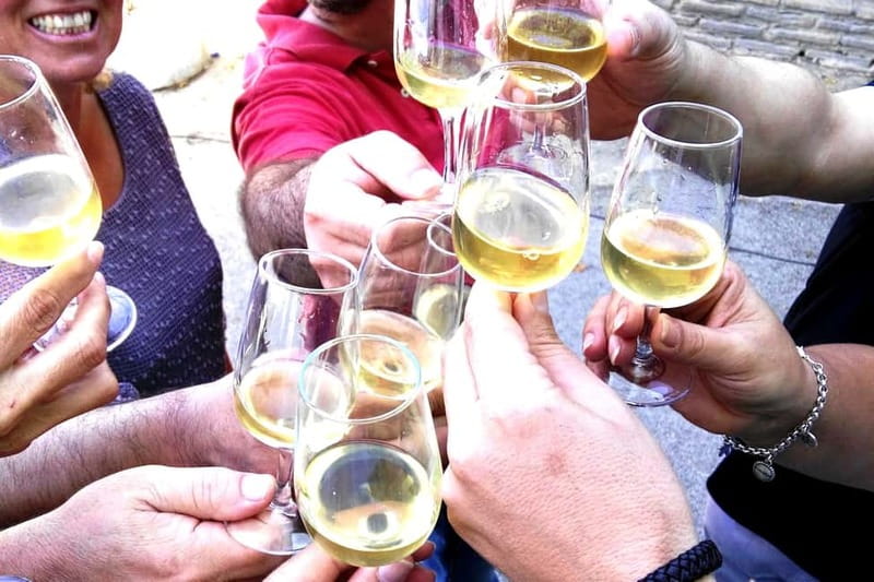 Jerez: 1.5-Hour Sherry Winery and Tasting Tour - The tasting: a useful introduction to sherry