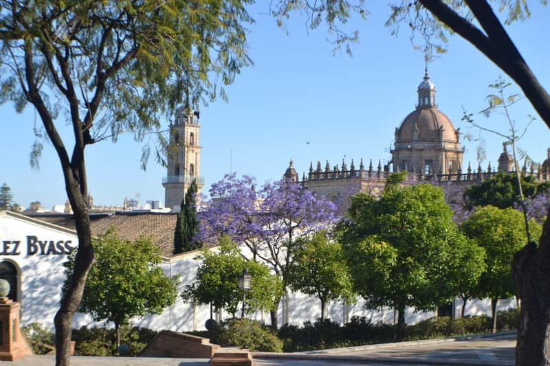 Jerez: 1.5-Hour Sherry Winery and Tasting Tour - What the two-hour schedule means