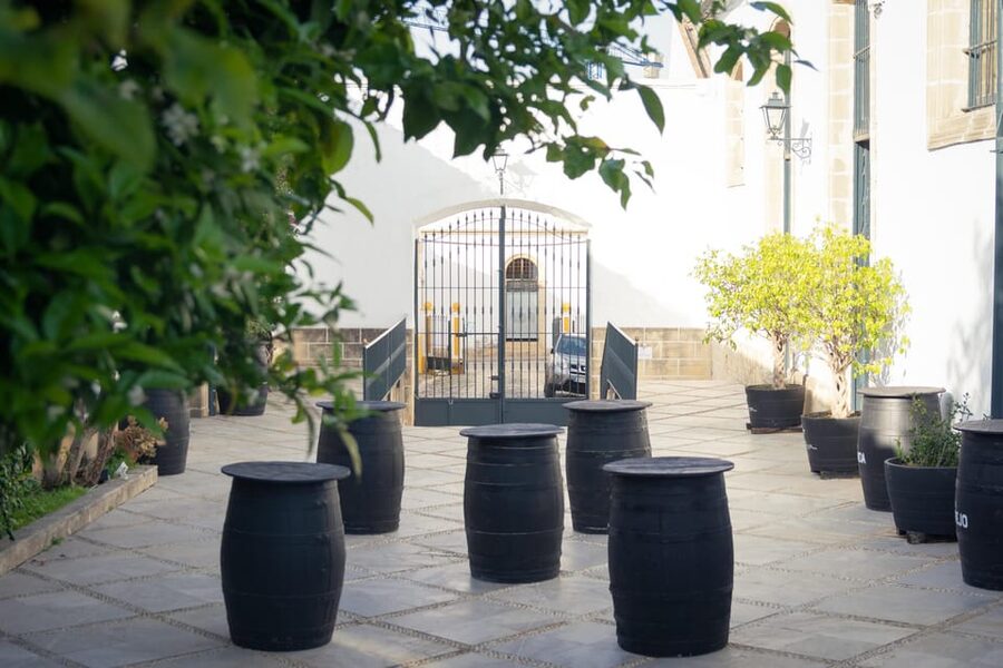 Jerez: Bodegas Álvaro Domecq Guided Tour with Wine Tasting - Why this Jerez bodega visit works so well