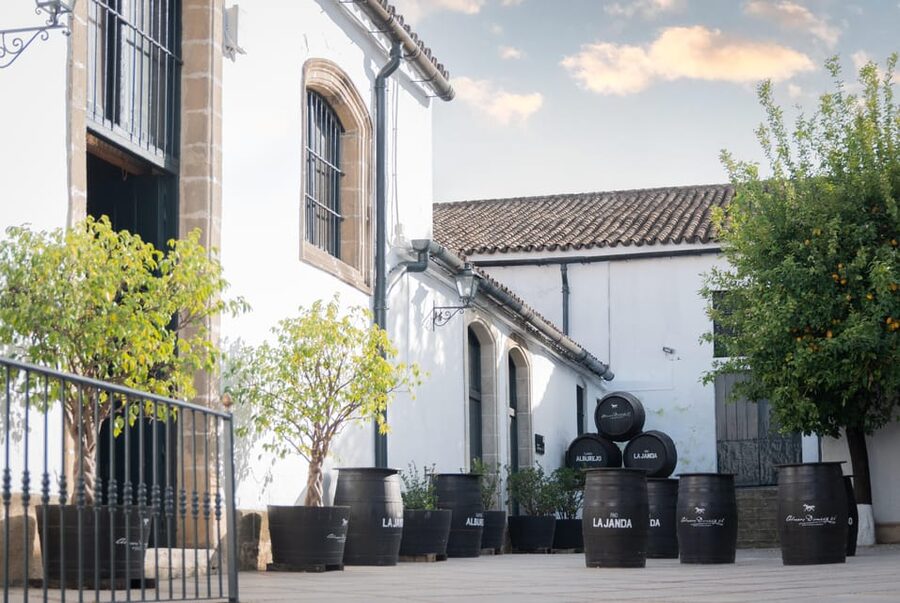 Jerez: Bodegas Álvaro Domecq Guided Tour with Wine Tasting - Inside the old cellars