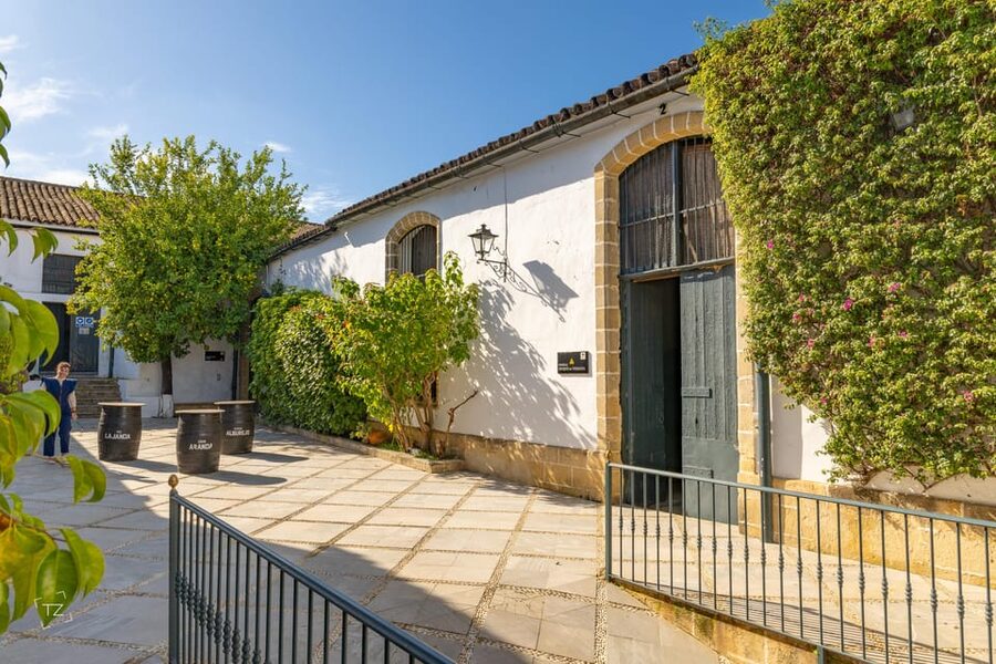 Jerez: Bodegas Álvaro Domecq Guided Tour with Wine Tasting - The brandy, vermouth, and vinegar surprise