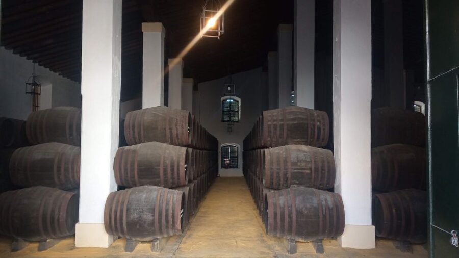 Jerez de la Frontera: Sherry Winery Tour with Tasting - Why this small Jerez winery is worth your time