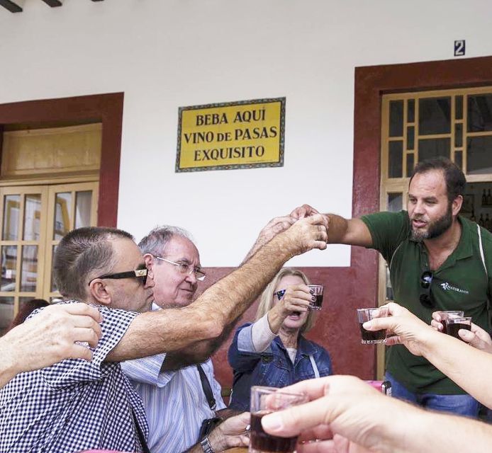 Jerez: Guided Winery Tour with Wine Tasting - Understanding Marco de Jerez wine