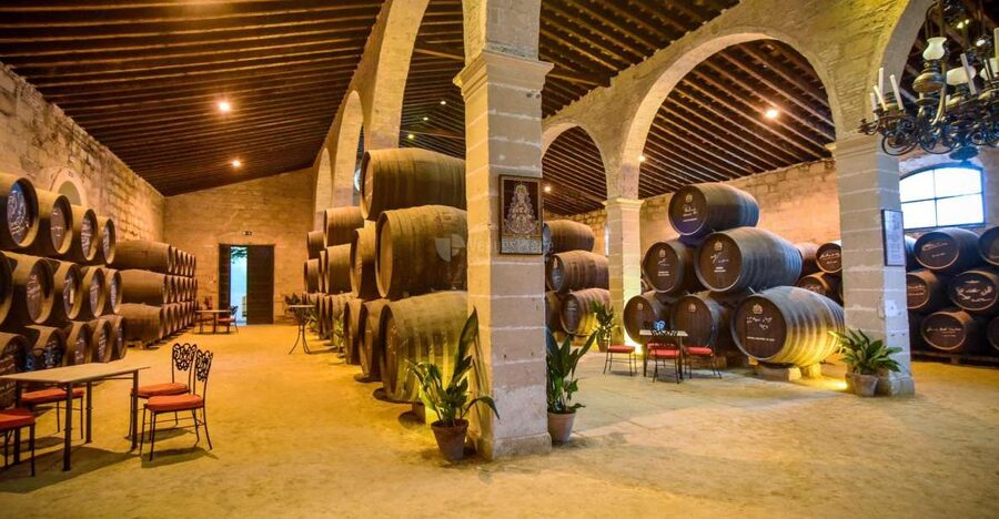 Jerez: Guided Winery Tour with Wine Tasting - What happens during the 80-minute visit
