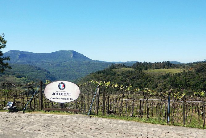 Jolimont Winery Tour - Visitation and Tasting - Canela RS - The parreiral and the outdoor setting