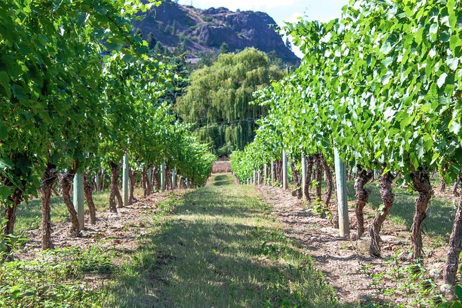 Kelowna or West Kelowna Afternoon Sightseeing Wine Tour - What the Kelowna route adds