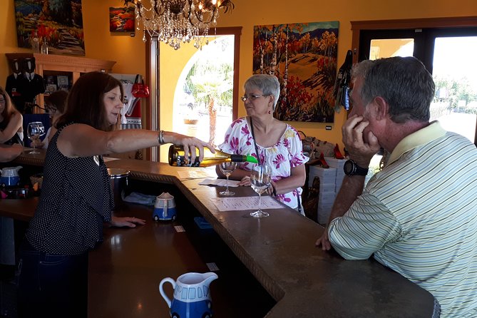 Kelowna or West Kelowna Afternoon Sightseeing Wine Tour - Choose the side of the lake that fits your day