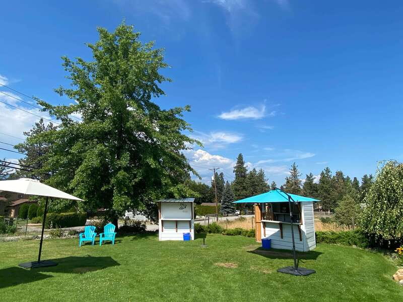 Kelowna: Wine Tasting by E-bike, Smartphone Guide & Lunch - What the $125 price includes