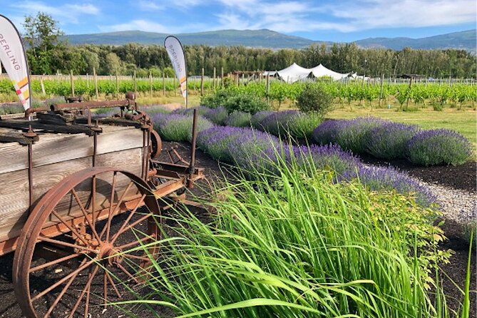 Kelowna Wine Tour by E-bike, Okanagan Valley Views and Lunch - Why an e-bike is the right way to see Kelowna wine country