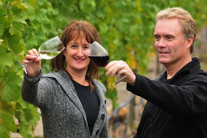 Kelowna Wine Tour by E-bike, Okanagan Valley Views and Lunch - Starting at Lakeside Eco-Sports on Bernard Avenue