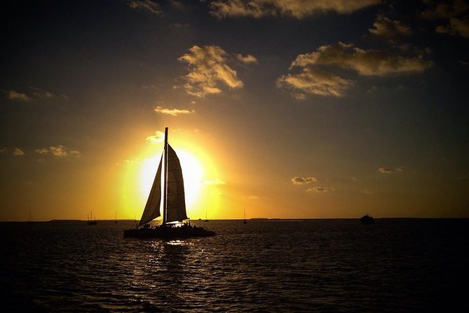 Key West Champagne Sunset Catamaran Cruise - Wildlife and views from the water