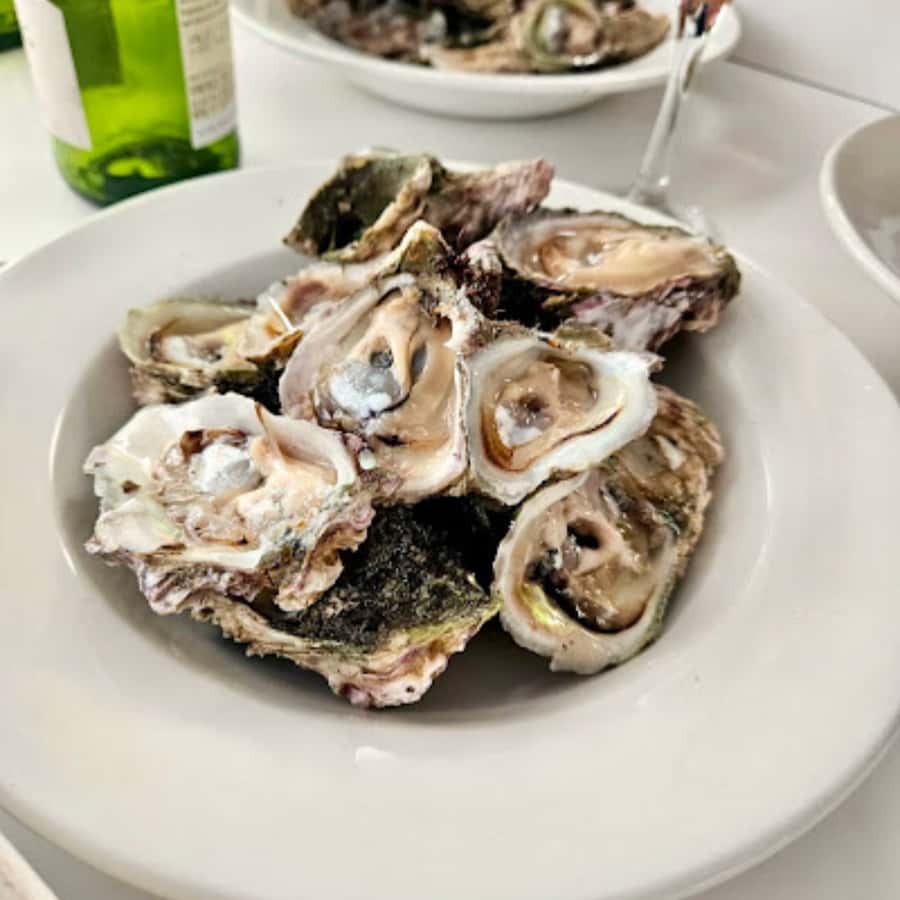 Knysna Lagoon: Boat Cruise with Oyster & White Wine Tasting - Setting out from Thesen Island Harbour Town