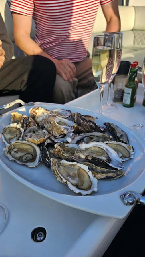 Knysna: Wine & Oyster Luxury Lounger Sunset Cruise - Starting at Thesen Island beside Sirocco