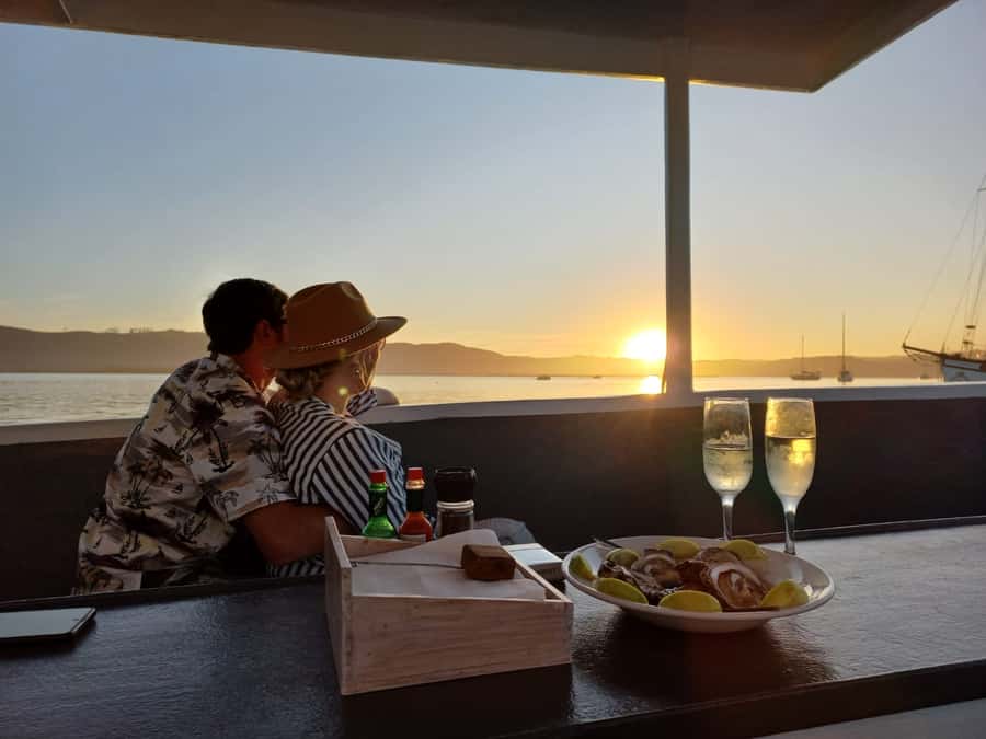 Knysna: Wine & Oyster Luxury Lounger Sunset Cruise - Oysters, wine, and a light tasting