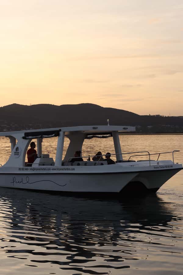 Knysna: Wine & Oyster Luxury Lounger Sunset Cruise - Should you book the Knysna sunset cruise?