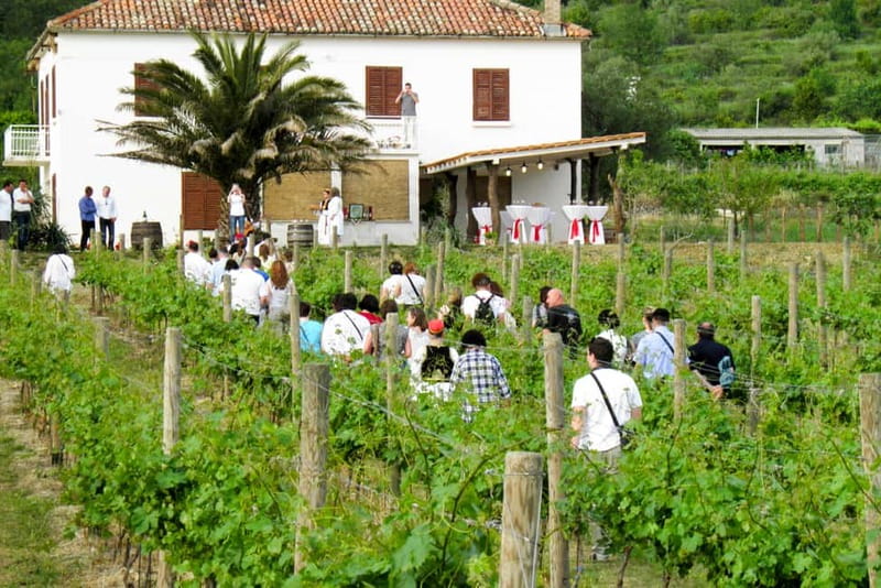 Konavle Valley: Tour with Wine Tasting from Dubrovnik - The first village stop and wine tasting