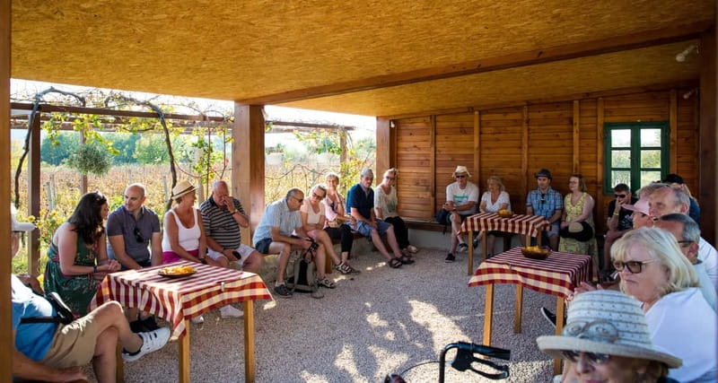 Konavle Valley: Tour with Wine Tasting from Dubrovnik - Wine, olive oil, and the Konavle table