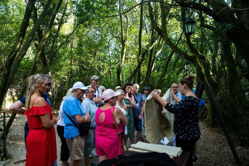 Konavle Valley: Tour with Wine Tasting from Dubrovnik - What the guides add to the day