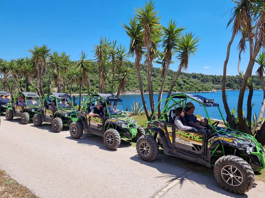 Korcula: Buggy Safari with Local Food and Wine Tasting - Riding through Korcula’s olive groves and vineyards