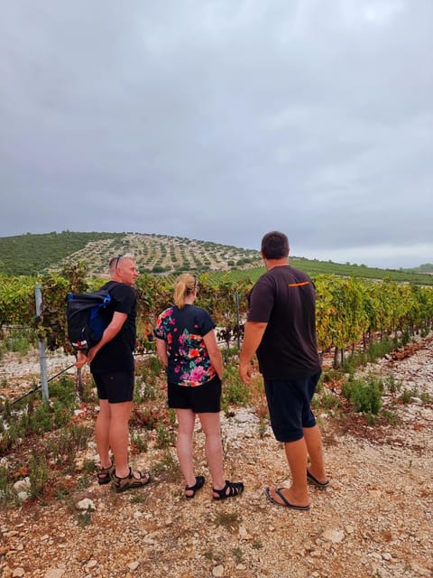 Korcula: Buggy Safari with Local Food and Wine Tasting - Is $129 per person a fair price?