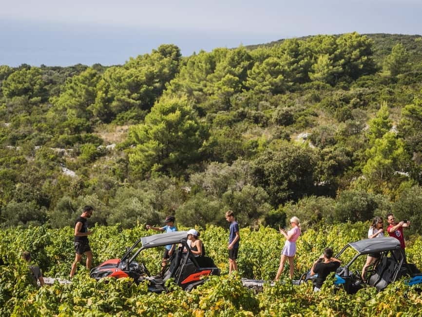 Korcula Buggy Safari With Wine Tasting - A few practical tips for a smoother day
